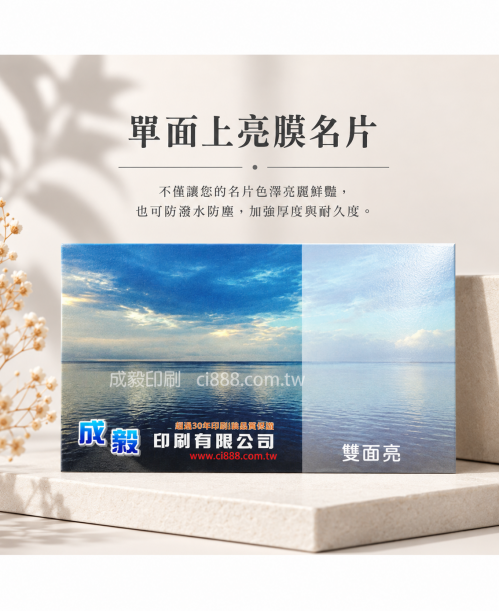 高雄印刷 - 單面亮名片-250p名片印刷設計