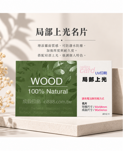 高雄印刷 - 局部上光名片-250p名片印刷設計