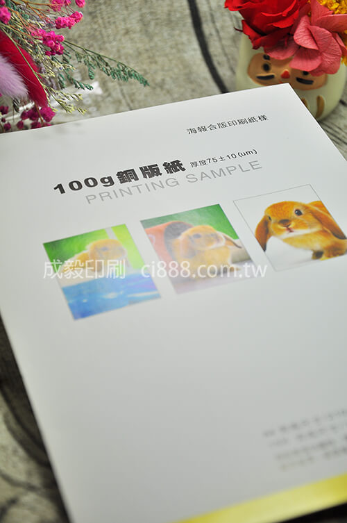 100P銅板紙-100P客製化印刷創意海報DM設計