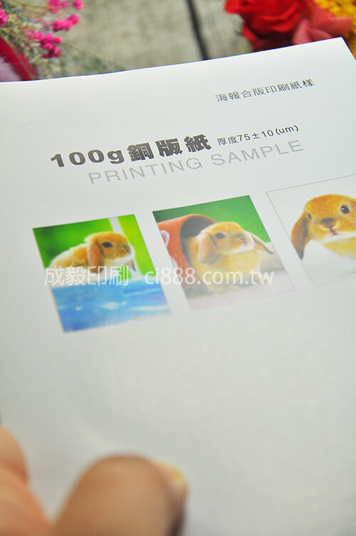 100P銅板紙-100P客製化印刷創意海報DM設計